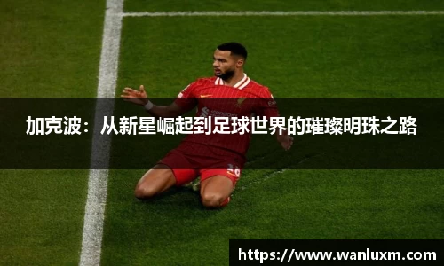 加克波：从新星崛起到足球世界的璀璨明珠之路