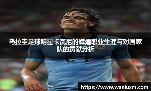 乌拉圭足球明星卡瓦尼的辉煌职业生涯与对国家队的贡献分析